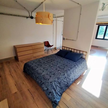 Lotila Flats Mieres Apartment Mieres  Bagian luar foto